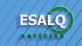 Esalq Notícias 268/2021 - Comitiva da USP visita o novo prefeito de Piracicaba